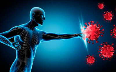 How To Effectively Boost your Immune System